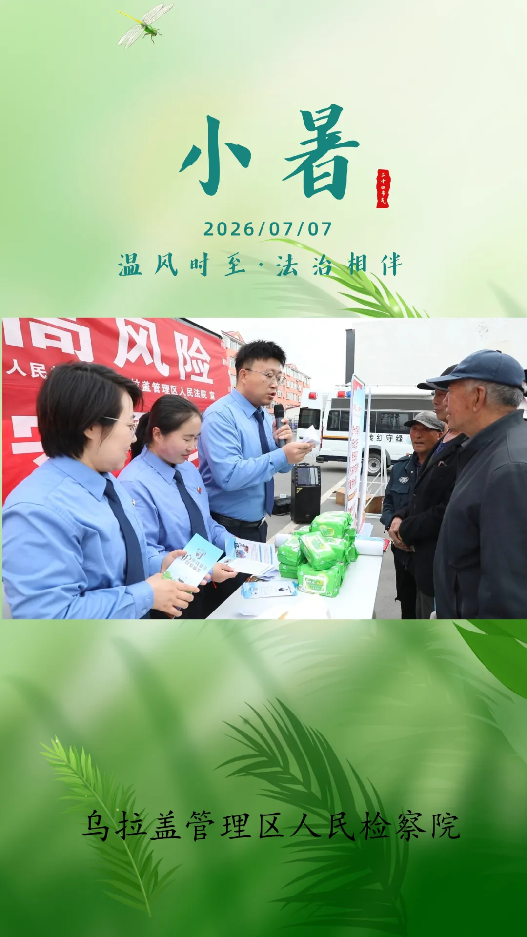 海报|小暑